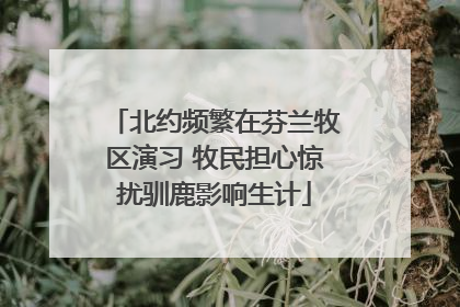 北约频繁在芬兰牧区演习 牧民担心惊扰驯鹿影响生计