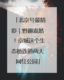 北京号最精彩｜野趣盎然！京城这个生态桥连通两大网红公园