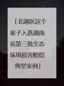 北湖区这个案子入选湖南省第三批生态环境损害赔偿典型案例