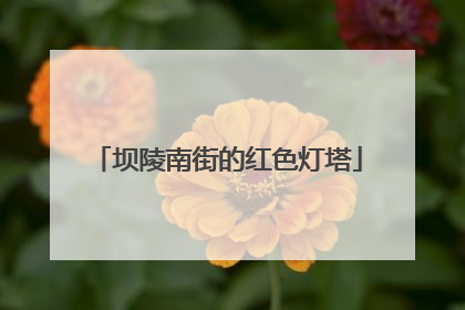 坝陵南街的红色灯塔