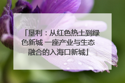 垦利：从红色热土到绿色新城 一座产业与生态融合的入海口新城