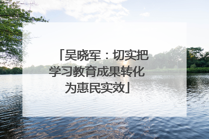 吴晓军：切实把学习教育成果转化为惠民实效