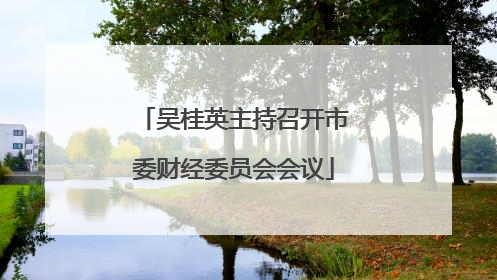吴桂英主持召开市委财经委员会会议