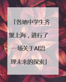 各地中学生齐聚上海，进行了一场关于AI治理未来的探索