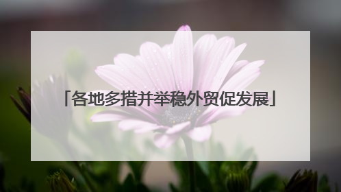 各地多措并举稳外贸促发展