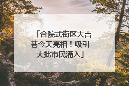 合院式街区大吉巷今天亮相！吸引大批市民涌入