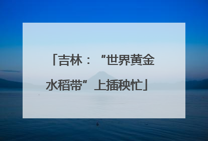 吉林：“世界黄金水稻带”上插秧忙