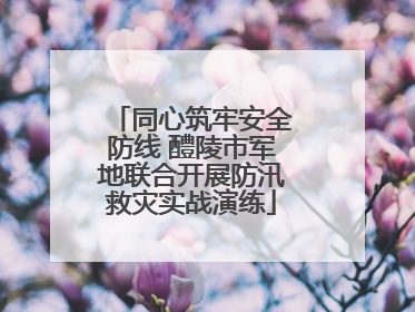 同心筑牢安全防线 醴陵市军地联合开展防汛救灾实战演练