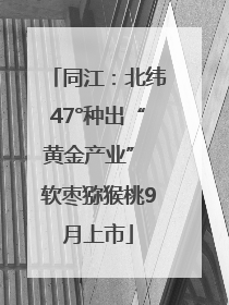 同江：北纬47°种出“黄金产业” 软枣猕猴桃9月上市
