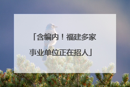含编内！福建多家事业单位正在招人