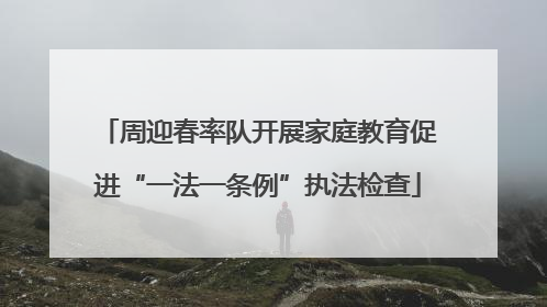周迎春率队开展家庭教育促进“一法一条例”执法检查