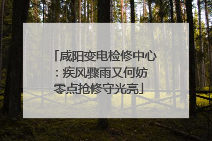 咸阳变电检修中心：疾风骤雨又何妨 零点抢修守光亮
