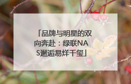 品牌与明星的双向奔赴：绿联NAS邂逅易烊千玺