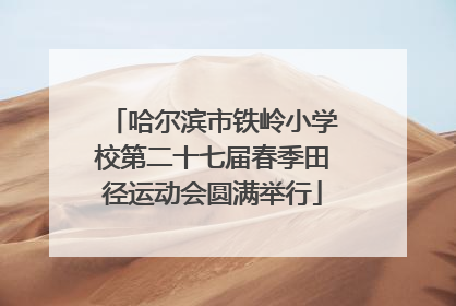 哈尔滨市铁岭小学校第二十七届春季田径运动会圆满举行