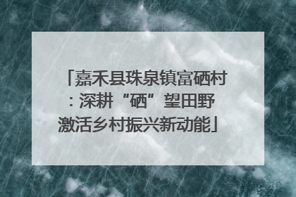 嘉禾县珠泉镇富硒村：深耕“硒”望田野 激活乡村振兴新动能