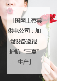国网上蔡县供电公司：加强设备巡视 护航“三夏”生产