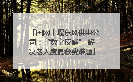 国网十堰东风供电公司：“数字反哺” 解决老人度夏缴费难题