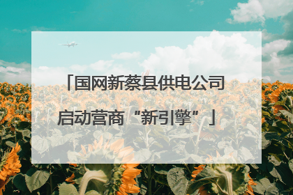 国网新蔡县供电公司启动营商“新引擎”