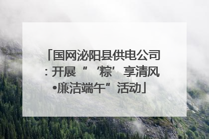 国网泌阳县供电公司：开展“‘粽’享清风 •廉洁端午”活动