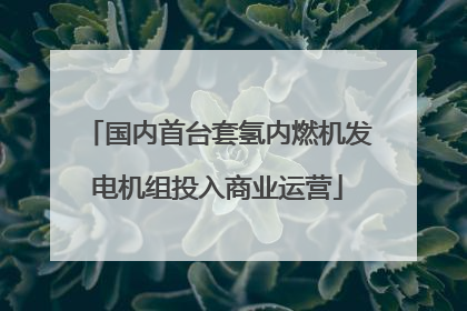 国内首台套氢内燃机发电机组投入商业运营