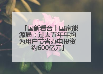 国新看台丨国家能源局：过去五年年均为用户节省办电投资约600亿元