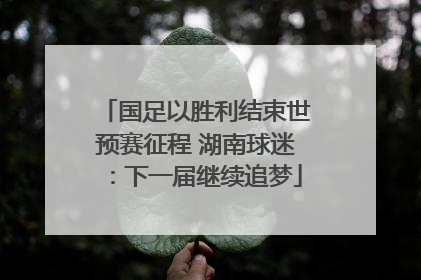 国足以胜利结束世预赛征程 湖南球迷：下一届继续追梦