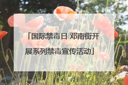 国际禁毒日 邓南街开展系列禁毒宣传活动