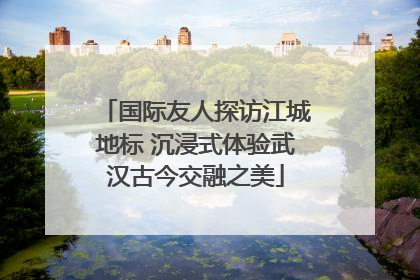 国际友人探访江城地标 沉浸式体验武汉古今交融之美