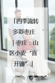 四季流转 多彩枣庄｜枣庄：山区小麦“喜开镰”