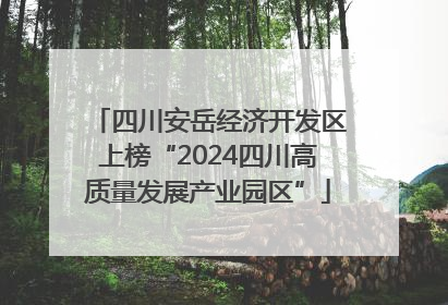 四川安岳经济开发区上榜“2024四川高质量发展产业园区”