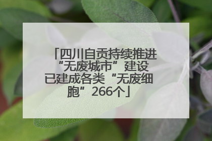 四川自贡持续推进“无废城市”建设 已建成各类“无废细胞”266个