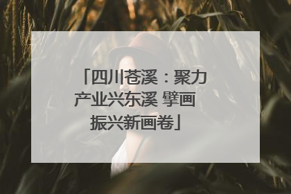 四川苍溪：聚力产业兴东溪 擘画振兴新画卷