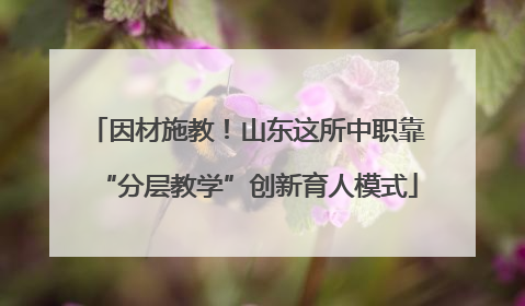 因材施教！山东这所中职靠“分层教学”创新育人模式