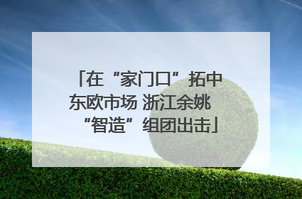 在“家门口”拓中东欧市场 浙江余姚“智造”组团出击