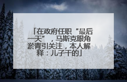 在政府任职“最后一天”，马斯克眼角淤青引关注，本人解释：儿子干的