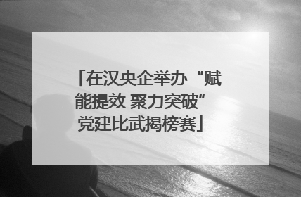 在汉央企举办“赋能提效 聚力突破”党建比武揭榜赛