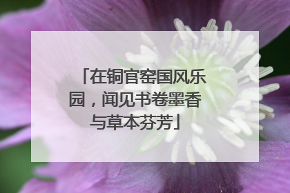 在铜官窑国风乐园，闻见书卷墨香与草本芬芳