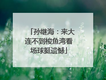 孙继海：来大连不到梭鱼湾看场球挺遗憾