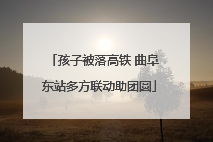 孩子被落高铁 曲阜东站多方联动助团圆