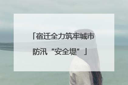 宿迁全力筑牢城市防汛“安全堤”