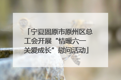 宁夏固原市原州区总工会开展“情暖六一 关爱成长”慰问活动