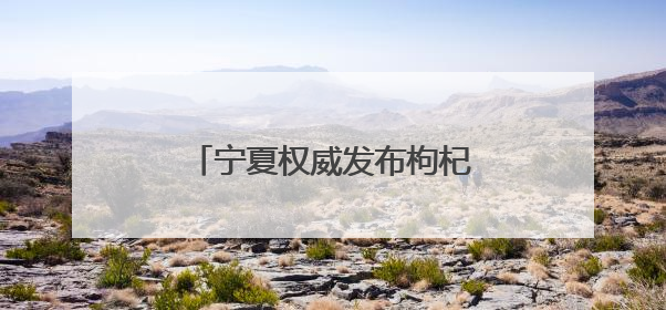 宁夏权威发布枸杞科技创新和产业创新融合发展情况