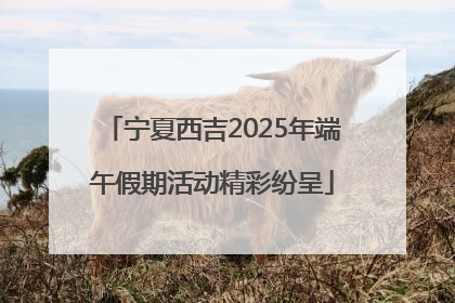宁夏西吉2025年端午假期活动精彩纷呈