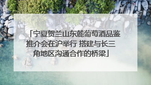 宁夏贺兰山东麓葡萄酒品鉴推介会在沪举行 搭建与长三角地区沟通合作的桥梁