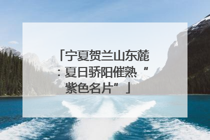 宁夏贺兰山东麓：夏日骄阳催熟“紫色名片”
