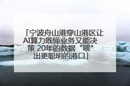 宁波舟山港穿山港区让AI算力既懂业务又能决策 20年的数据“喂”出更聪明的港口