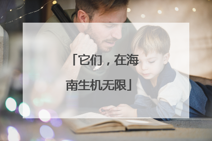它们，在海南生机无限