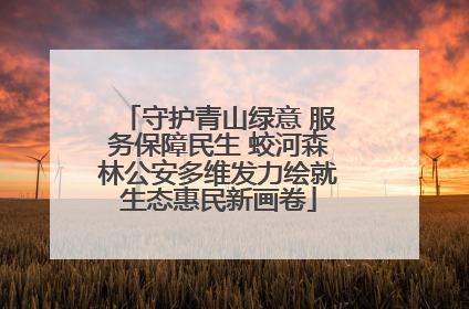 守护青山绿意 服务保障民生 蛟河森林公安多维发力绘就生态惠民新画卷