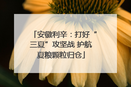 安徽利辛：打好“三夏”攻坚战 护航夏粮颗粒归仓
