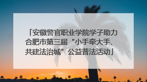 安徽警官职业学院学子助力合肥市第三届“小手牵大手、共建法治城”公益普法活动